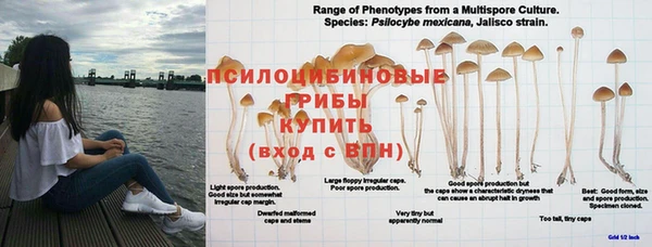прущие крисы Бронницы