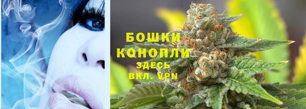 мескалин Бородино