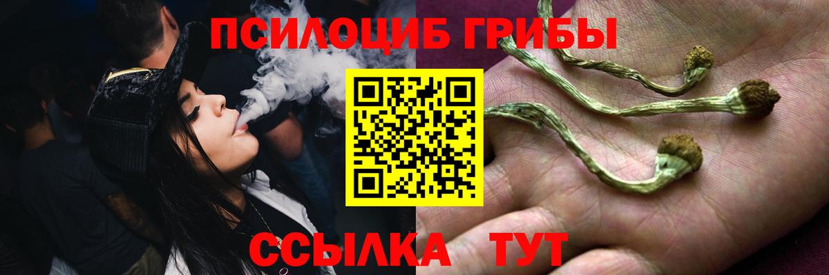 Галлюциногенные грибы Psilocybine cubensis  Вход с VPN  Вязники 
