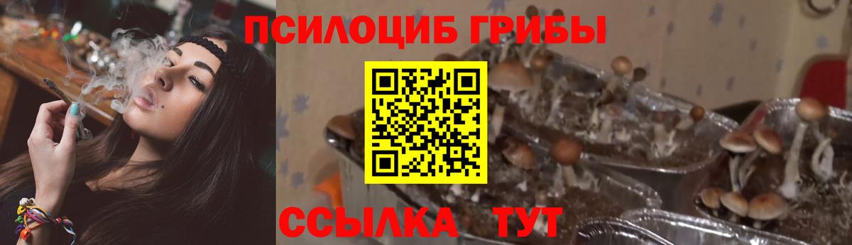 Alpha-PVP Вязники
